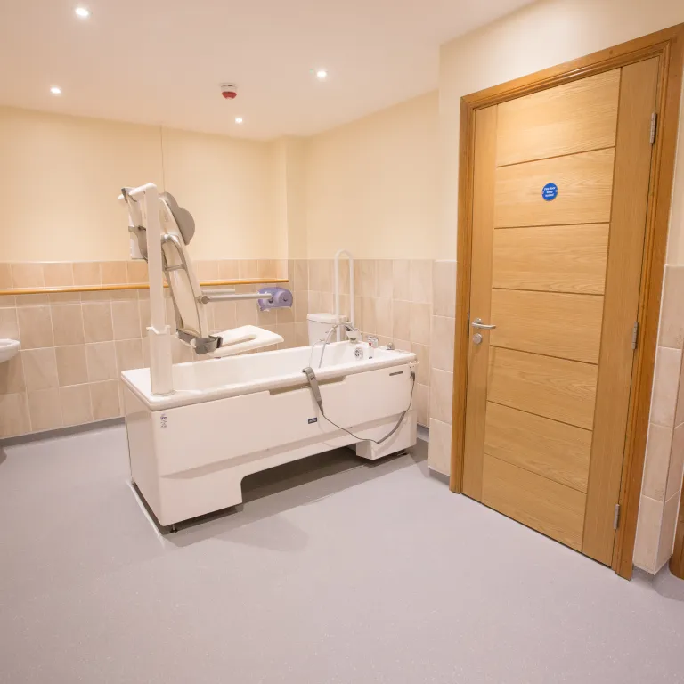 Assisted bathroom